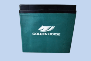 Electric bike lead-acid battery (Delicacy)