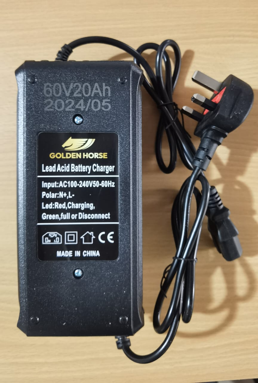 60V20AH charger (Delicacy)