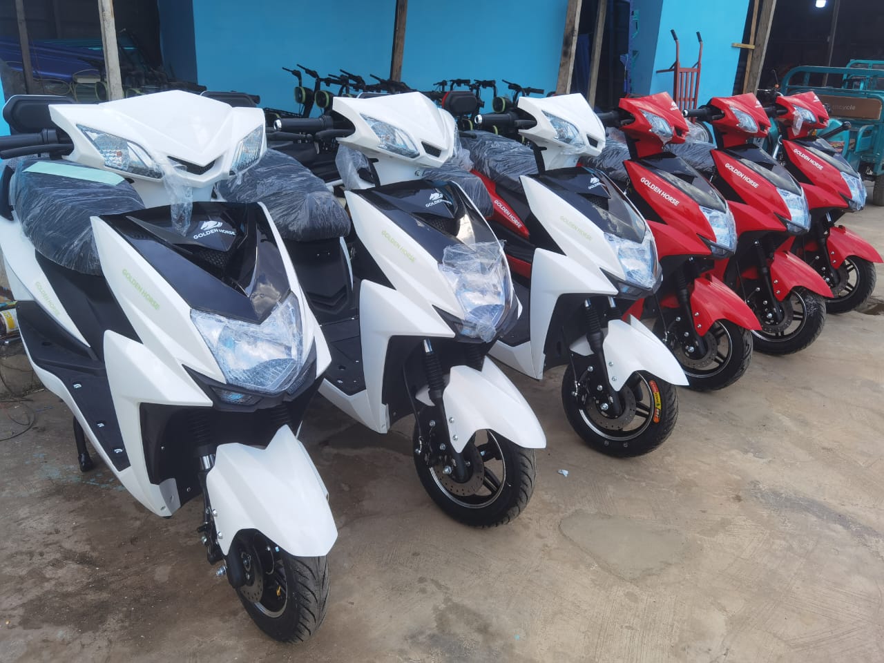 WhatsApp Image 2025-10-18 at 13.23.29_6fb89681